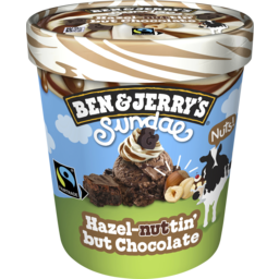 Photo of Ben & Jerry’S Ice Cream Hazel-Nuttin' But Chocolate Sundae 427 Ml 