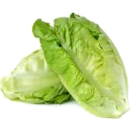 Photo of Organic Lettuce Cos Twinpack