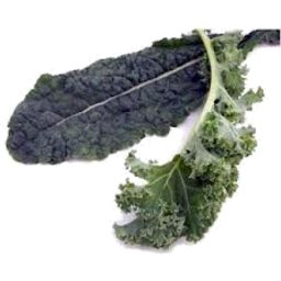 Photo of Kale Curly