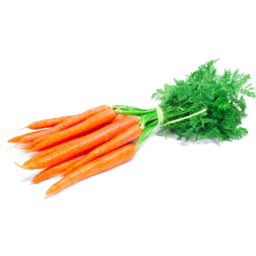 Photo of Carrots Dutch Organic