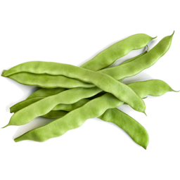 Photo of Organic Flat Beans 
