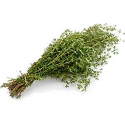 Photo of Herb Ws Thyme Bunch