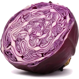 Photo of Org Cabbage Red Half