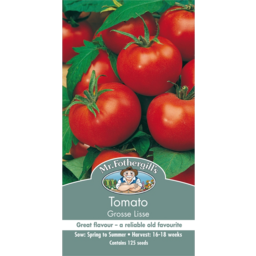 Photo of Seed Tomato Grosse Lisse A