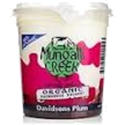 Photo of Mungalli David/Plum Yoghurt 500g