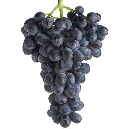 Photo of Grapes Midnight (approx 500g)