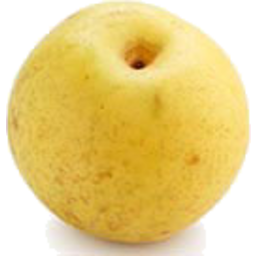 Photo of Pears Nashi