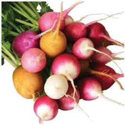 Photo of Radish Rainbow Bunch