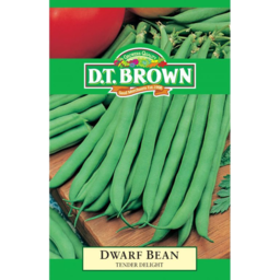 Photo of Dt Brown Dwarf Bean Delight