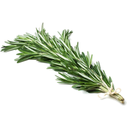 Photo of Herbs Rosemary