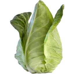 Photo of Cabbage Sugarloaf Ea