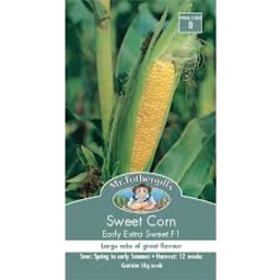 Photo of Mr Fothergills Seeds Sweet Corn Early Extra Sweet