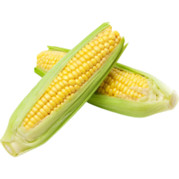 Photo of Sweet Corn Each