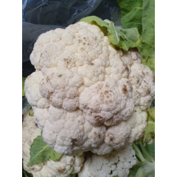 Photo of Cauliflower Reduced