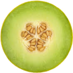 Photo of Melon Honeydew Half Org