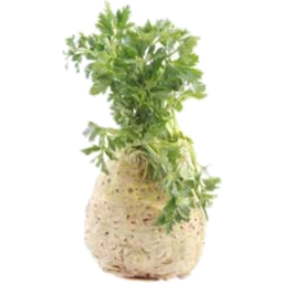 Photo of Celeriac