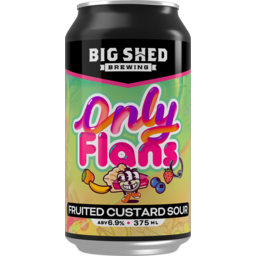 Photo of Big Shed Brewing Only Flans Fruited Custard Sour Can 