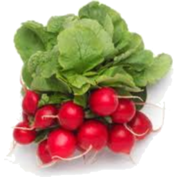 Photo of Radish