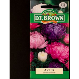 Photo of DT BROWN ASTER DUCHESS MIXED
