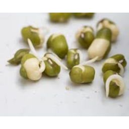 Photo of Sprouts Mung Bean