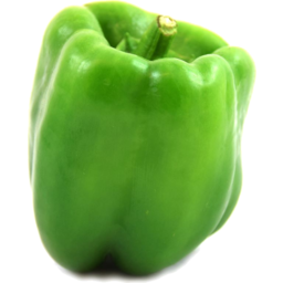 Photo of Capsicum Green Organic