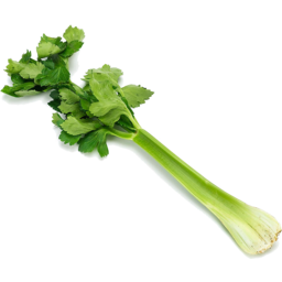 Photo of Celery - Stick