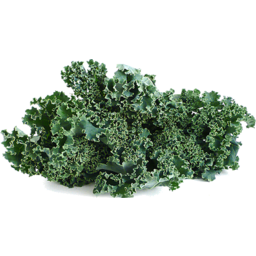 Photo of Kale Scottish