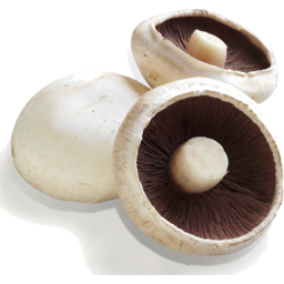 Photo of Mushrooms Loose Flat Organic