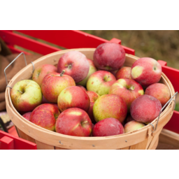 Photo of Organic Apples Pre-Pack