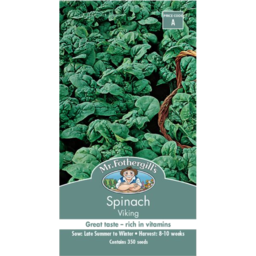 Photo of Mr Fothergills Seeds Spinach Viking A