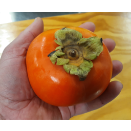 Photo of Persimmons Fuyu- Large