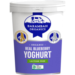 Photo of Barambah Blueberry Yoghurt