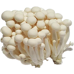 Photo of Choi White Shimeji Mushroom