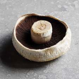 Photo of Mushrooms Large Flats