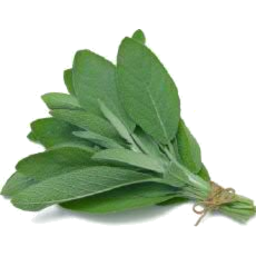 Photo of Sage Bunch