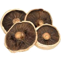 Photo of Mushrooms Swiss Kg