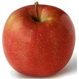 Photo of WILLIAM SMITH & SONS Apples Red Fuji Organic Kg