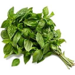 Photo of Fresh Basil Bunch