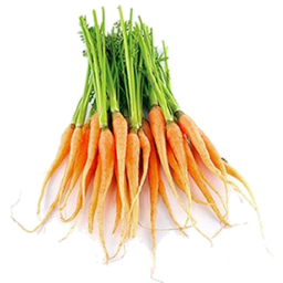 Photo of Carrots - Dutch 