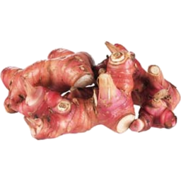 Photo of Galangal Root