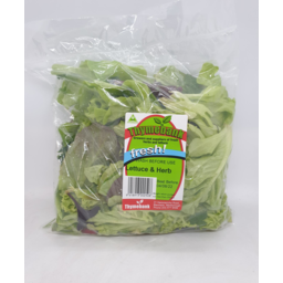 Photo of Thymebank Lettuce & Herb Mix