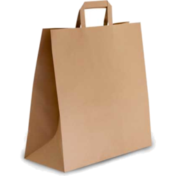 Photo of Brown Kraft Flat Handle Bag