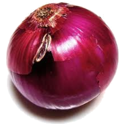 Photo of Onion Red Each