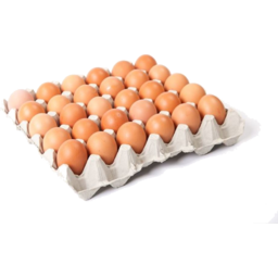 Photo of Eggs 30 Pack Size 5