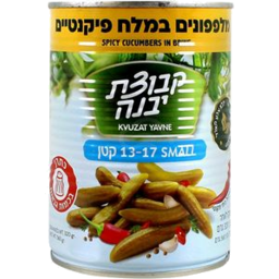 Photo of Kvuzat Yavne Cucumbers Spicy In Brine 13-17