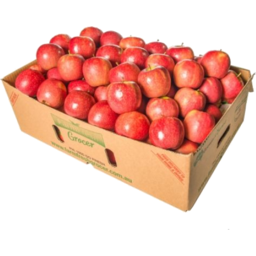 Photo of Box Apples Royal Gala