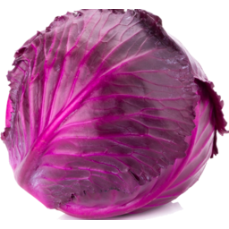 Photo of Cabbage Red Each Nz Grown