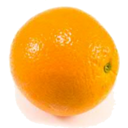 Photo of Juicing Oranges