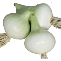 Photo of Onion - Salad Ea