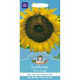 Photo of Mr Fothergills Seeds Sunflower Giant Single